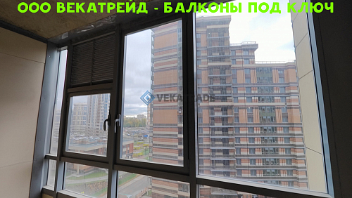 Приморский район, Богатырский пр. 2А, остекление лоджии альпинистами